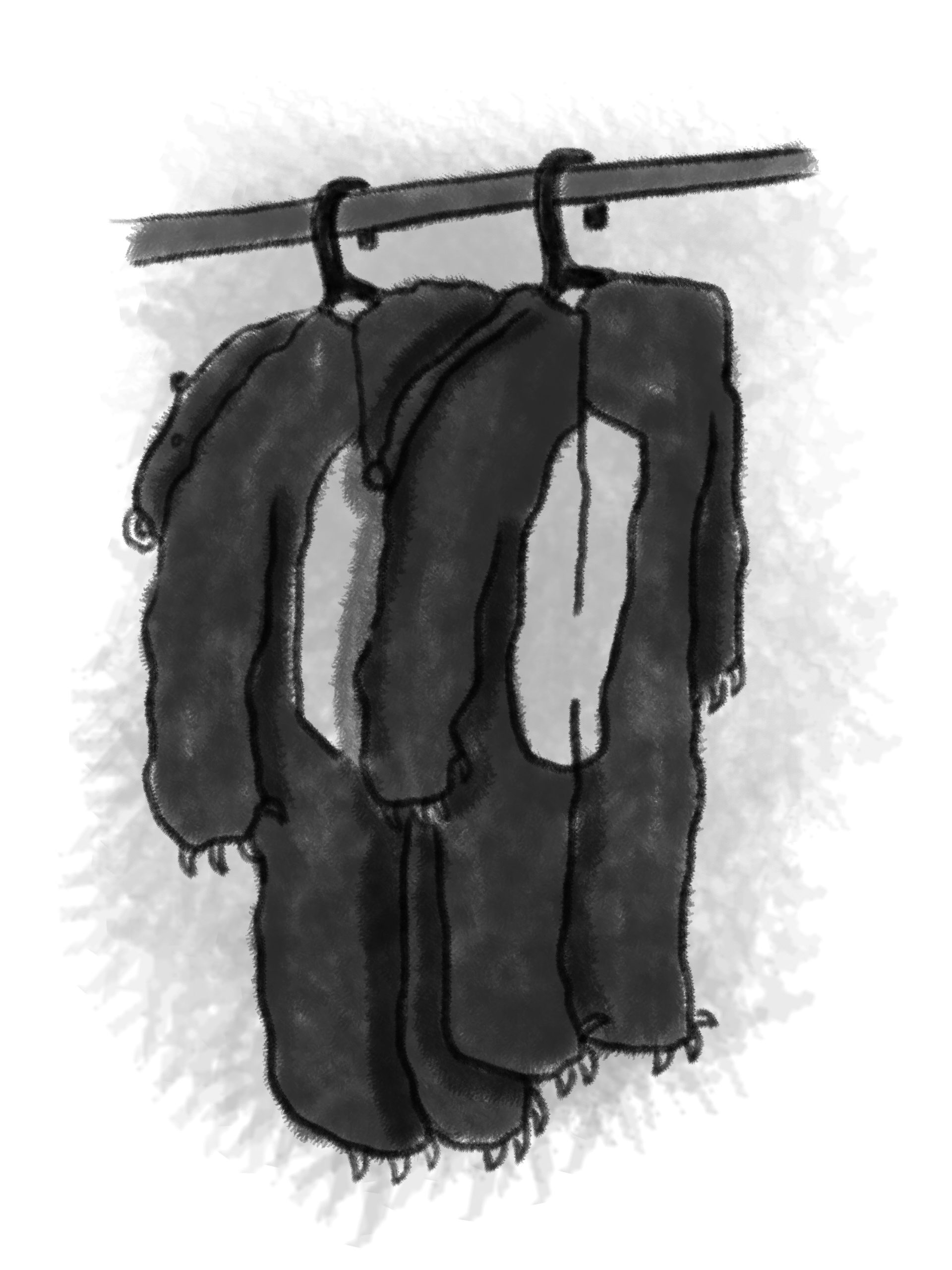 Two bear costumes hanging from a rack.